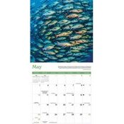 Calendrier papier Passion Pche  la ligne et Carnassiers