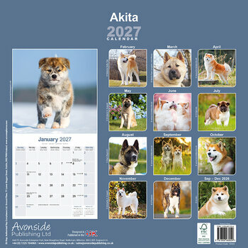Calendrier 2027 Akita Inu Akita Am&eacute;ricain