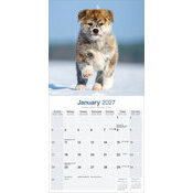 Calendrier papier 2027 Akita Inu
