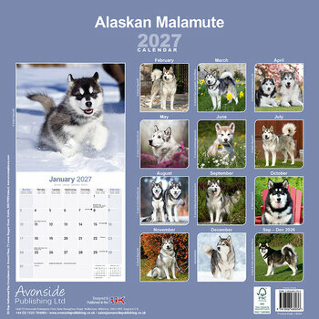 Calendrier 2027 Alaskan Malamute