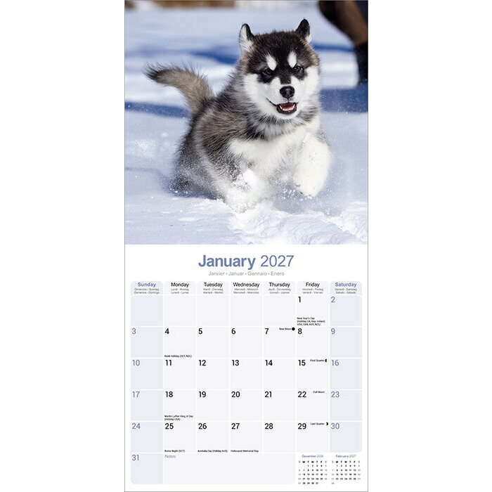 Calendrier 2027 Malamute
