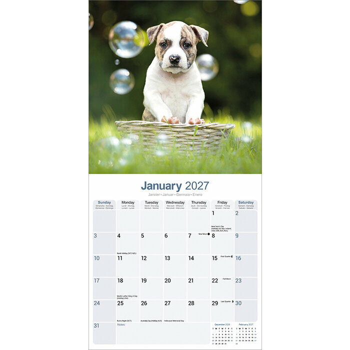 Calendrier  2027 Amstaff