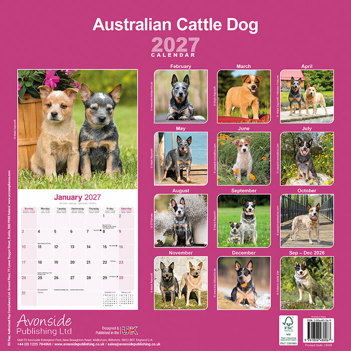 Calendrier Mural 2027 Berger Australien