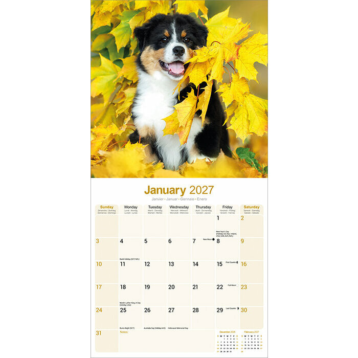 Calendrier Mural 2027 Berger Australien