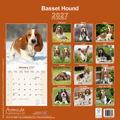 Calendrier 2027 Basset Hound