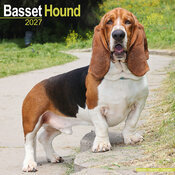Calendrier Mural 2027 Basset Hound