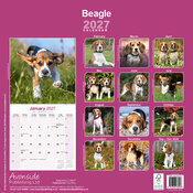 Calendrier 2027 Beagle Calendrier 2027 Beagle