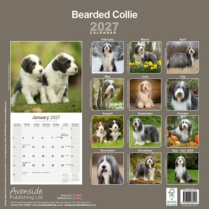 Calendrier 2027 Bearded collie