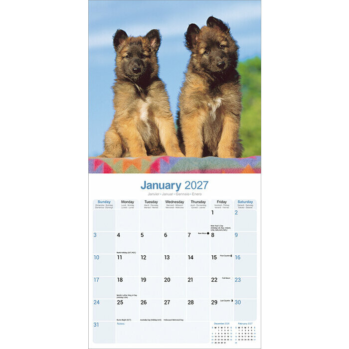 Calendrier 2027 Berger Belge Calendrier 2027 Berger belge