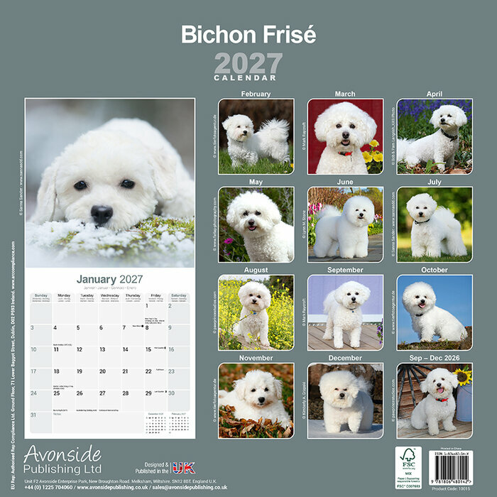 Calendrier 2027 Bichon Frisé Calendrier papier 2027 Bichon Frisé