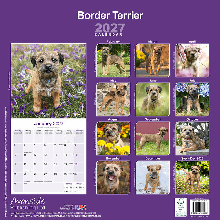 Calendrier 2027 Border Terrier Calendrier 2027 Border Terrier