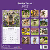 Calendrier 2027 Border Terrier Calendrier 2027 Border Terrier
