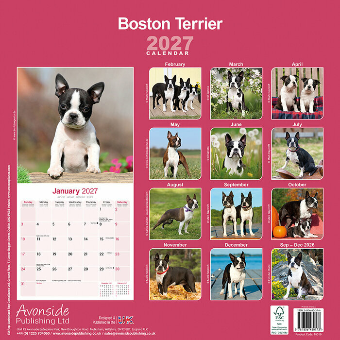 Calendrier 2027 Boston Terrie
