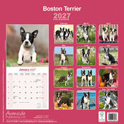 Calendrier 2027 Boston Terrie
