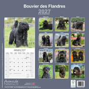 Calendrier 2027 Bouvier des Flandres Calendrier papier 2027 Bouvier Flandres