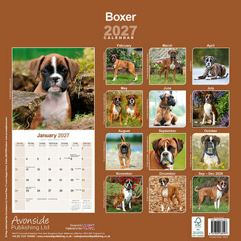 Calendrier 2027 Boxer