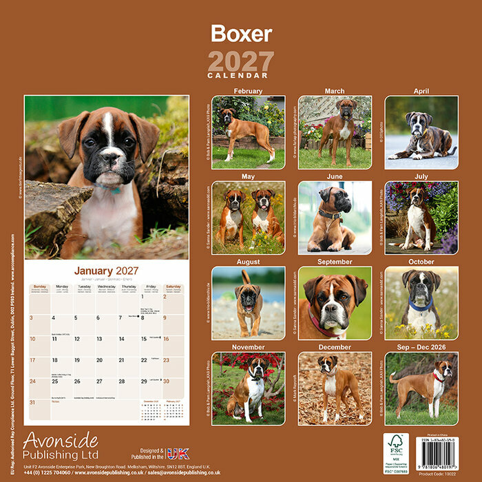 Calendrier mural 2027 Boxer
