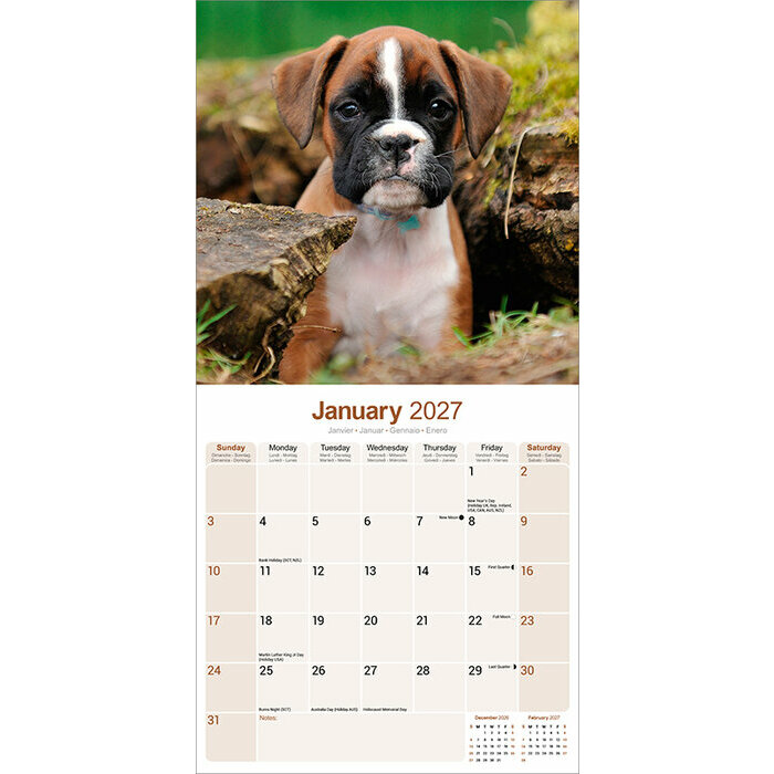 Calendrier papier 2027 Boxer