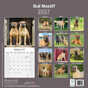 Calendrier 2027 Bullmastiff Calendrier papier 2027 Bullmastiff