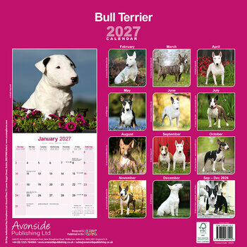 Calendrier 2027 Bull Terrier