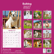 Calendrier 2027 Bulldog Anglais