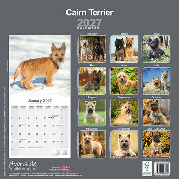 Calendrier 2027 Cairn Terrier