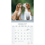 Calendrier 2027 Cavalier King Charles Calendrier papier 2027 Cavalier king charles