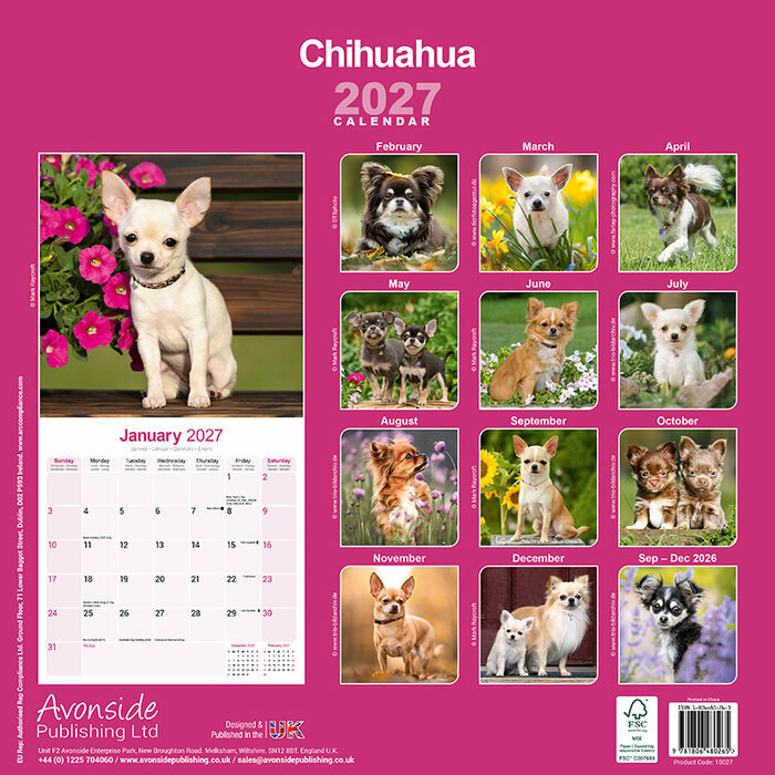 Calendrier 2027 Chihuahua Calendrier 2027 Chihuahua