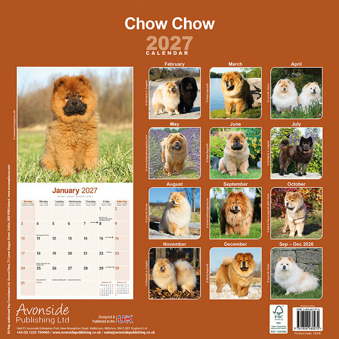 Calendrier papier 2027 Chow chow