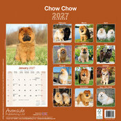 Calendrier papier 2027 Chow chow