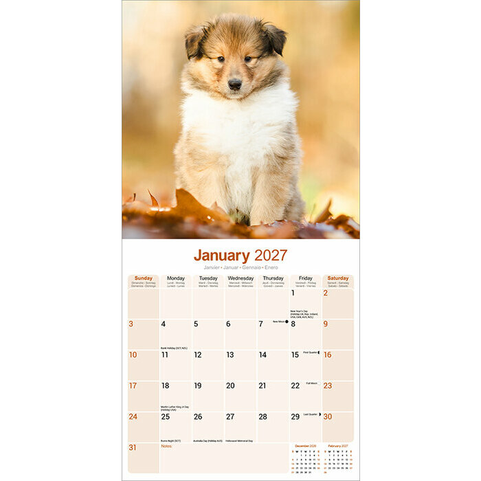 Calendrier 2027 Colley