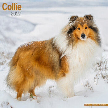 Calendrier 2027 Colley