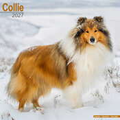 Calendrier Mural 2027 Colley