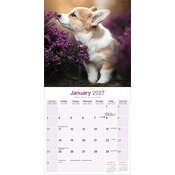 Calendrier 2027 Welsh Corgi Calendrier Mural 2027 Welsh corgis