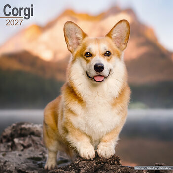 Calendrier 2027 Welsh Corgi