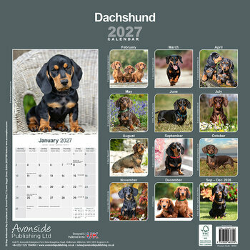 Calendrier 2027 Teckel