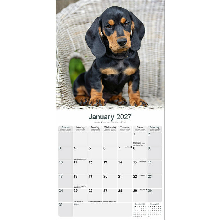 Calendrier 2027 Teckel Calendrier 2027 Teckel