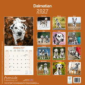 Calendrier 2027 Dalmatien Calendrier 2027 Dalmatien