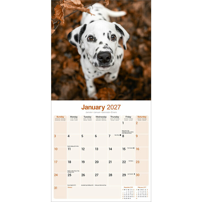 Calendrier 2027 Dalmatien Calendrier Papier 2027 Dalmatien