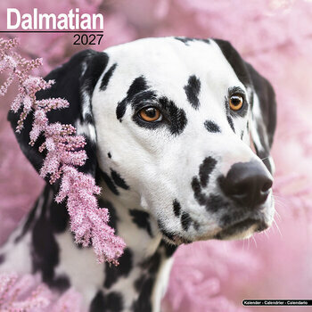 Calendrier 2027 Dalmatien
