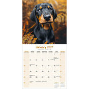 Calendrier papier 2027 Doberman