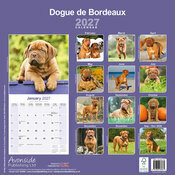 Calendrier 2027 Dogue de Bordeaux Calendrier Papier 2027 Dogue de Bordeaux