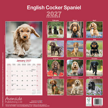 Calendrier 2027 Cocker Anglais