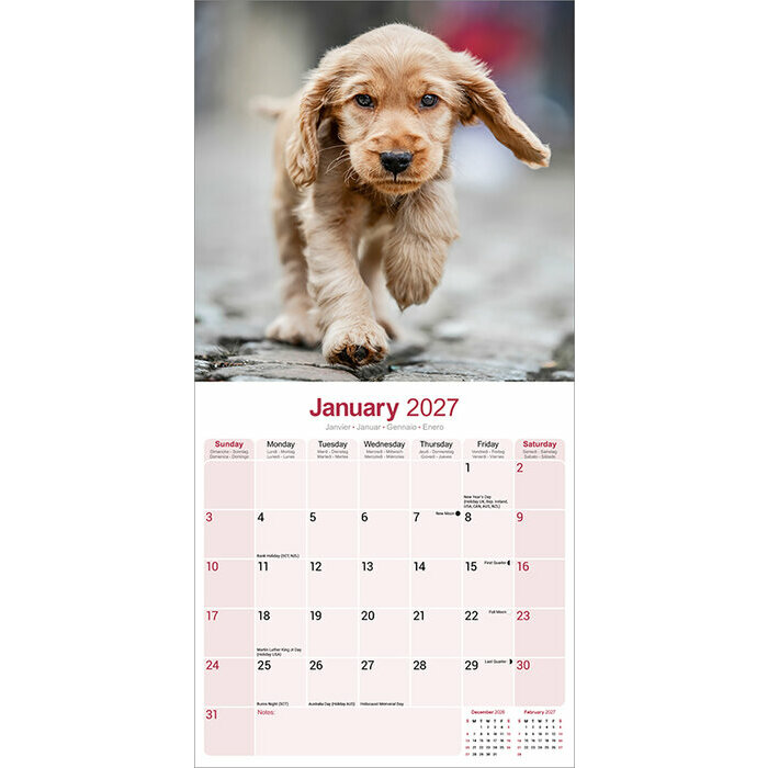Calendrier 2027 Cocker Anglais Calendrier Mural 2027 Cocker papier