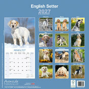 Calendrier 2027 Setter Anglais Calendrier papier 2027 Setter anglais