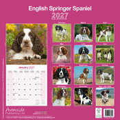 Calendrier 2027 English Springer Spaniel Calendrier 2027 Englisg Springer Spaniel