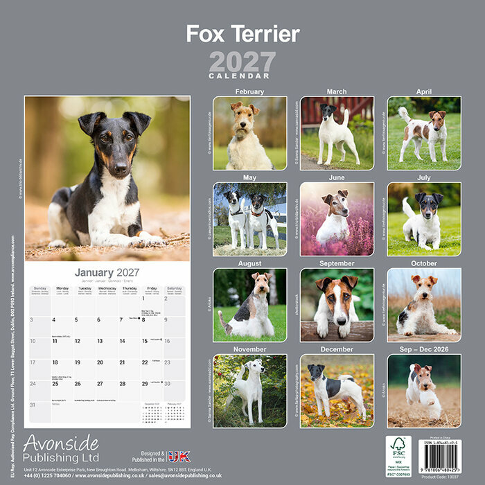 Calendrier 2027 Fox terrier