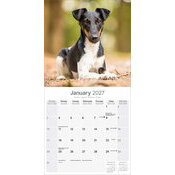 Calendrier papier 2027 Fox terrier