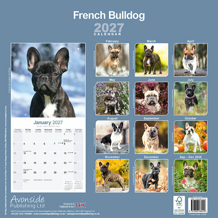 Calendrier 2027 Bouledogue Français Calendrier papier 2027 Bouledogue français