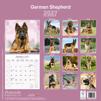 Calendrier 2027 Berger Allemand